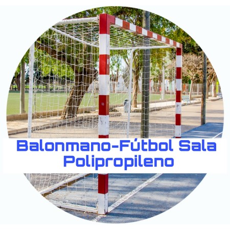 BALONMANO-FÚTBOL SALA P.P